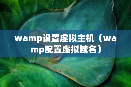 wamp设置虚拟主机（wamp配置虚拟域名）