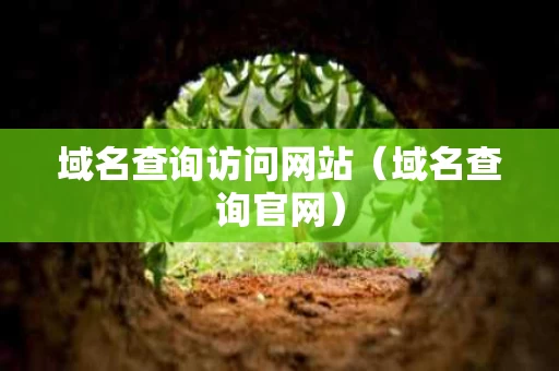 域名查询访问网站（域名查询官网）