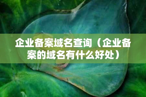 企业备案域名查询（企业备案的域名有什么好处）