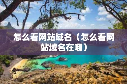 怎么看网站域名（怎么看网站域名在哪）