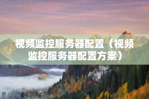 视频监控服务器配置（视频监控服务器配置方案）