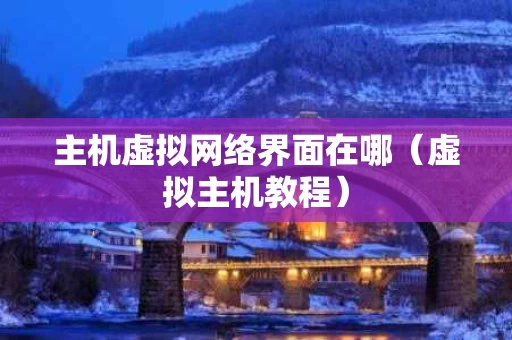主机虚拟网络界面在哪（虚拟主机教程）
