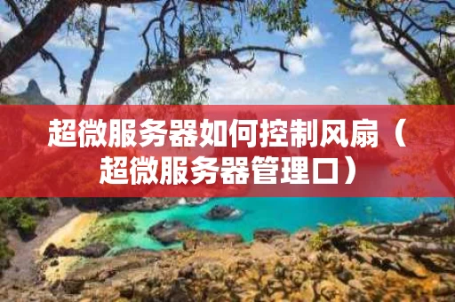 超微服务器如何控制风扇（超微服务器管理口）