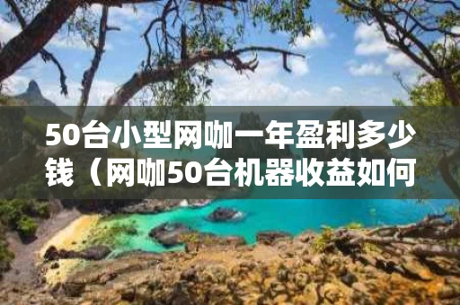 50台小型网咖一年盈利多少钱（网咖50台机器收益如何）
