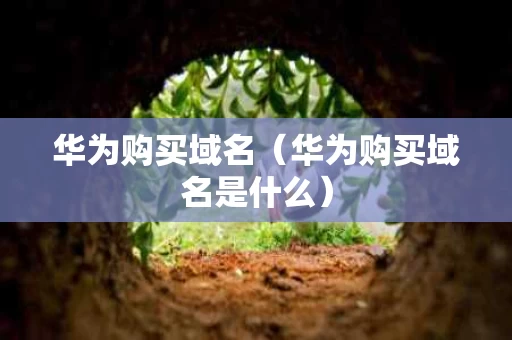 华为购买域名（华为购买域名是什么）