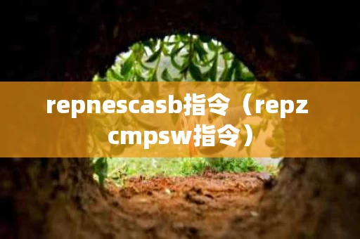 repnescasb指令（repz cmpsw指令）