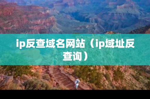 ip反查域名网站（ip域址反查询）