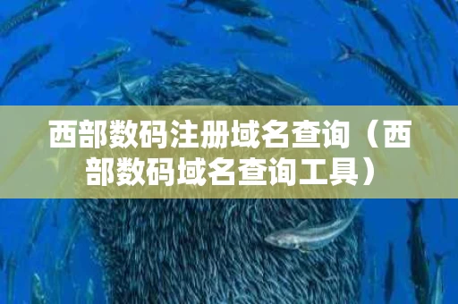 西部数码注册域名查询（西部数码域名查询工具）