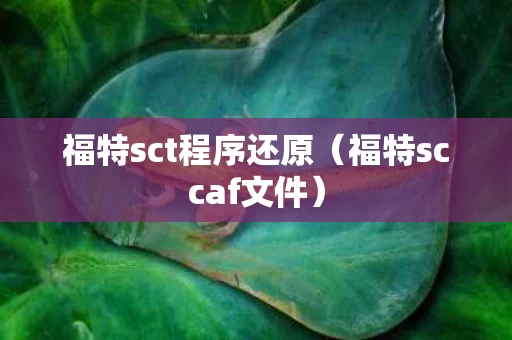 福特sct程序还原（福特sccaf文件）