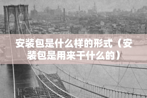 安装包是什么样的形式（安装包是用来干什么的）