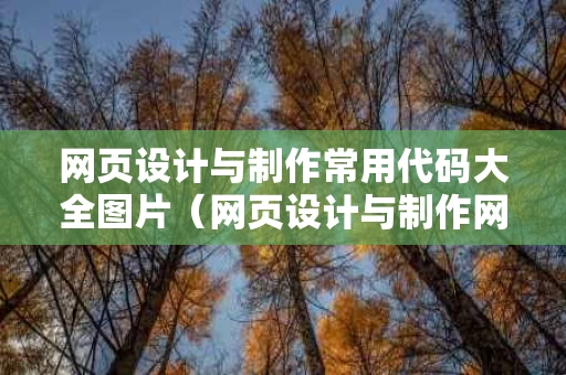 网页设计与制作常用代码大全图片（网页设计与制作网站代码）