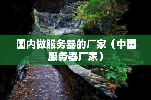 国内做服务器的厂家（中国服务器厂家）