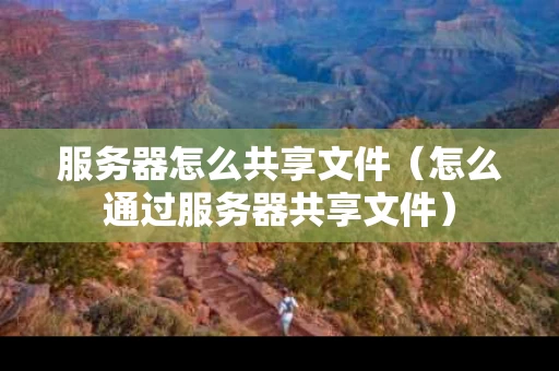 服务器怎么共享文件（怎么通过服务器共享文件）
