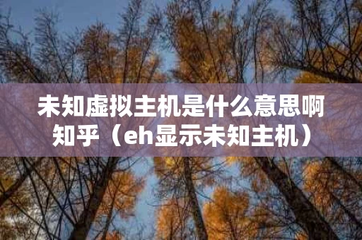 未知虚拟主机是什么意思啊知乎（eh显示未知主机）