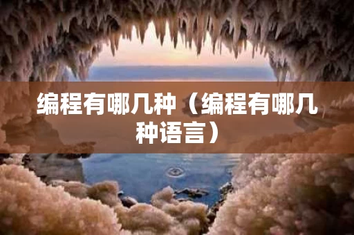 编程有哪几种（编程有哪几种语言）