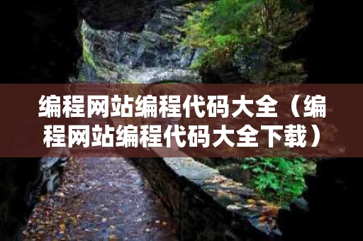 编程网站编程代码大全（编程网站编程代码大全下载）