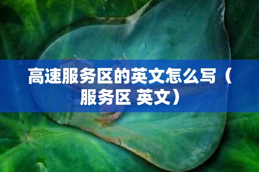 高速服务区的英文怎么写（服务区 英文）