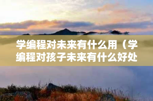 学编程对未来有什么用（学编程对孩子未来有什么好处）