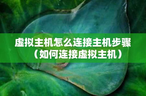 虚拟主机怎么连接主机步骤（如何连接虚拟主机）