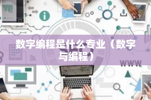 数字编程是什么专业（数字与编程）