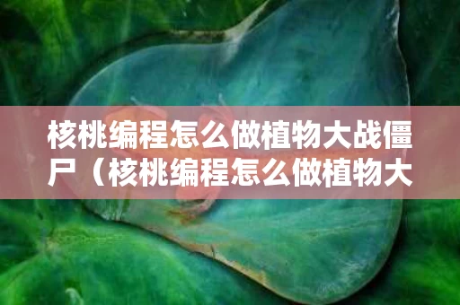 核桃编程怎么做植物大战僵尸（核桃编程怎么做植物大战僵尸游戏）
