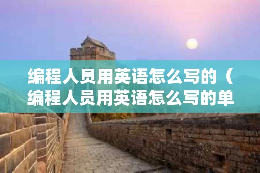 编程人员用英语怎么写的（编程人员用英语怎么写的单词）