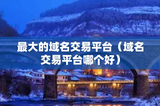 最大的域名交易平台（域名交易平台哪个好）