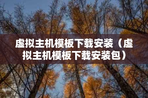 虚拟主机模板下载安装（虚拟主机模板下载安装包）