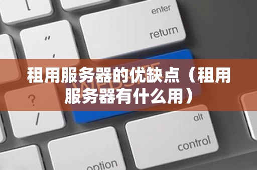 租用服务器的优缺点（租用服务器有什么用）