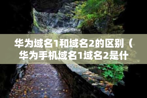 华为域名1和域名2的区别（华为手机域名1域名2是什么）