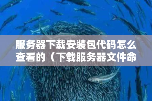 服务器下载安装包代码怎么查看的（下载服务器文件命令）