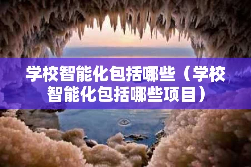 学校智能化包括哪些（学校智能化包括哪些项目）
