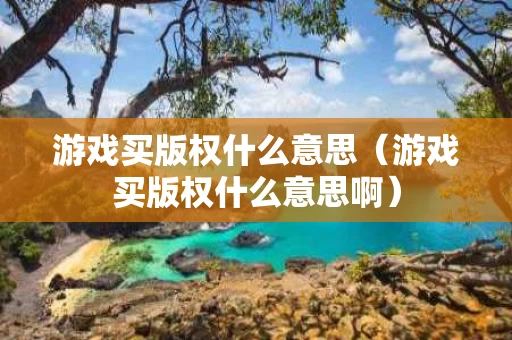 游戏买版权什么意思（游戏买版权什么意思啊）