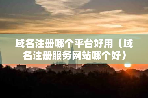 域名注册哪个平台好用（域名注册服务网站哪个好）