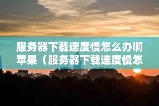 服务器下载速度慢怎么办啊苹果（服务器下载速度慢怎么办啊苹果手机）