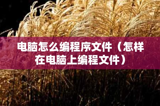 电脑怎么编程序文件（怎样在电脑上编程文件）