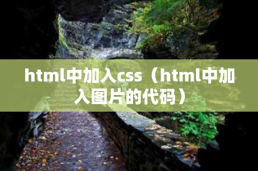 html中加入css（html中加入图片的代码）