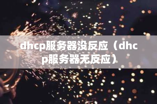 dhcp服务器没反应（dhcp服务器无反应）