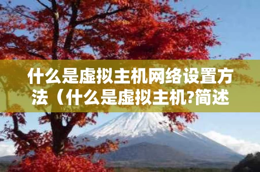 什么是虚拟主机网络设置方法（什么是虚拟主机?简述虚拟主机网站建设的几个步骤）
