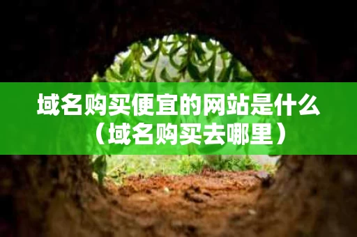 域名购买便宜的网站是什么（域名购买去哪里）
