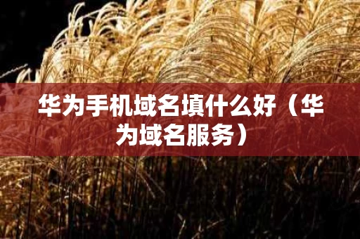 华为手机域名填什么好（华为域名服务）