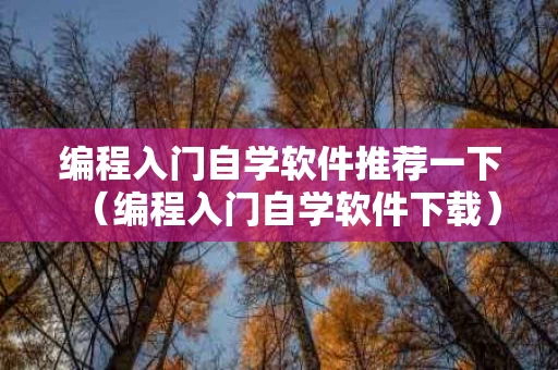编程入门自学软件推荐一下（编程入门自学软件下载）