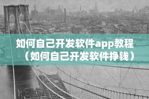 如何自己开发软件app教程（如何自己开发软件挣钱）