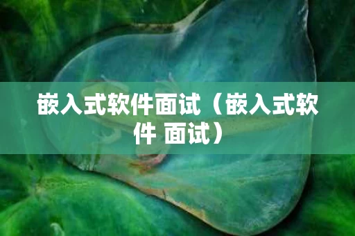 嵌入式软件面试（嵌入式软件 面试）