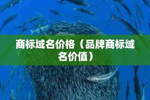 商标域名价格（品牌商标域名价值）