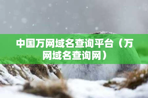 中国万网域名查询平台（万网域名查询网）