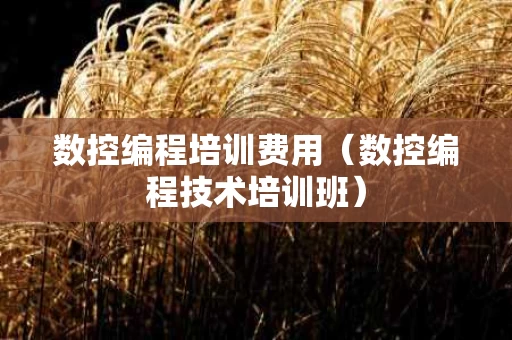 数控编程培训费用（数控编程技术培训班）