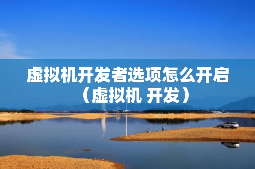 虚拟机开发者选项怎么开启（虚拟机 开发）