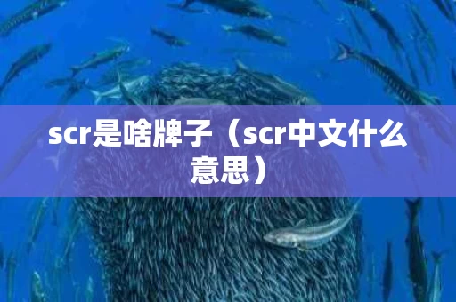scr是啥牌子（scr中文什么意思）