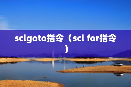 sclgoto指令（scl for指令）